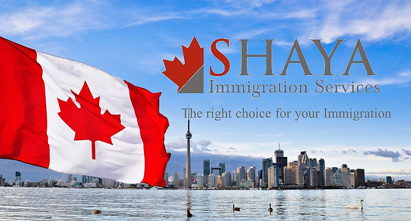 Shaya Immigration Services